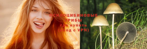 бошки Алзамай