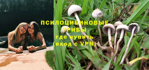 бошки Алзамай