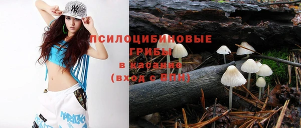 бошки Алзамай