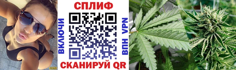Конопля THC 21%  Лодейное Поле 